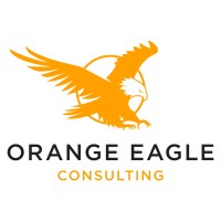 Orange Eagle Consulting logo - Similar company to Donald Hans