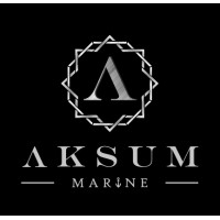 Aksum Marine Industries LLC logo - Similar company to Aksum Group