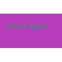 SERVICE ROMA SRL logo - Similar company to 3S Safety Srl