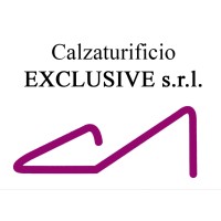 EXCLUSIVE SRL logo - Similar company to Rinati