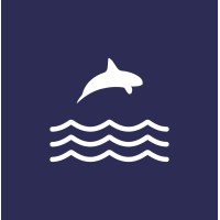 Orca Money logo - Similar company to Wagebox