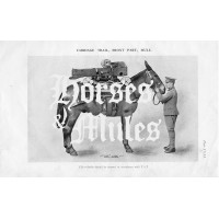 Horses & Mules logo - Similar company to Idea Farmer