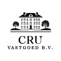 CRU Vastgoed logo - Similar company to Regiosafe