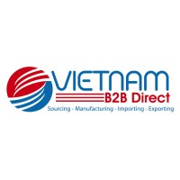 Vietnam B2B Direct logo - Similar company to Flyavia