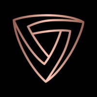 Strat Consulting New Zealand logo - Similar company to Dvize