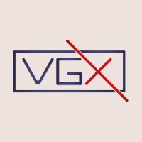 VGX logo - Similar company to Vgx Foundation
