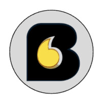 Bayer Strategic Consulting logo - Similar company to Bayer Consulting Llc