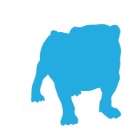 RIVA Capital logo - Similar company to Sub Aviators Llc