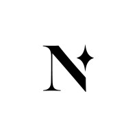 North Star Partners logo - Similar company to Prometheus Ai