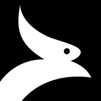 Rapidi logo - Similar company to Fleet Express