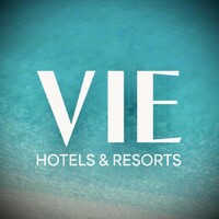 VIE logo - Similar company to Info Upi Bandung