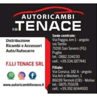 F.LLI TENACE DISTRIBUZIONE RICAMBI AUTO E TRUCK logo - Similar company to Vt Austral