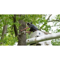 Tree Service Port Huron MI logo - Similar company to Nrc Builders