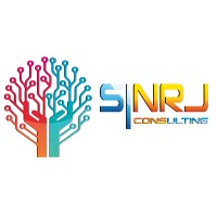 SI NRJ consulting logo - Similar company to Zextras Services