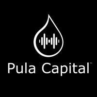 Pula Capital Management LP logo - Similar company to Multifund