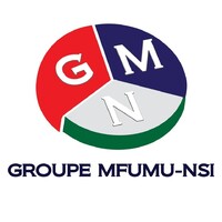 GROUPE MFUMU NSI logo - Similar company to Lotus Congo