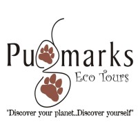Pugmarks Eco Tours logo - Similar company to Tie Pune