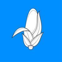 Cornflow logo - Similar company to Decision Science Alliance