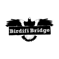 Birdifi Bridge logo - Similar company to Evodian