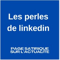 Les perles de Linkedin: retrouvez ici toute l’actualité Linkedin racontée avec humour logo - Similar company to Websenso - Agence Digitale Ux / Dev
