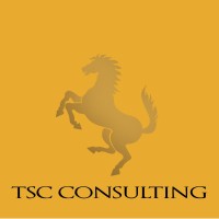 TSC Consulting logo - Similar company to Developer Company