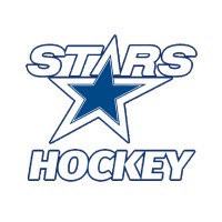 Brookfield Stars Hockey logo - Similar company to Wisconsin Windigo
