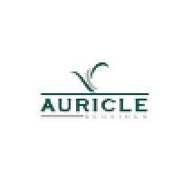 Auricle Services logo - Similar company to Uhymaaji & Co