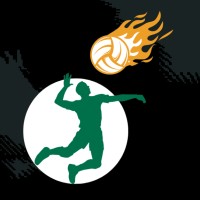 VirtuVolley logo - Similar company to Ieee International Conference On Cloud Engineering (Ic2E)