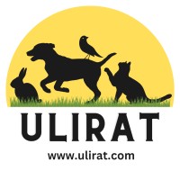 Ulirat Pet Supplies and Accessories Trading logo - Similar company to Mong Pet Supplies