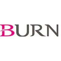 Shenzhen Burn Technology Co., Ltd logo - Similar company to 玩吧