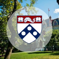 The Penn Fund logo - Similar company to Umdloop