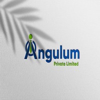 Angulum Private Limited logo - Similar company to Webcruiz