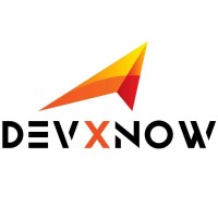 DevXnow IT Solutions logo - Similar company to Asa Digital