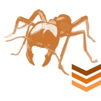 Ant Data Systems PG logo - Similar company to Menggetronics Cyber Cafe