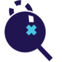 Traffik Analysis Hub logo - Similar company to Teleqo Tech