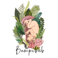 Bumpnbub logo - Similar company to Stemjee Digital Transformation