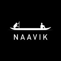Naavik logo - Similar company to Video Game Insights (By Sensor Tower)