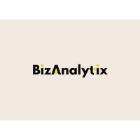 Biz Analytix logo - Similar company to Thebaghstore