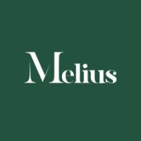 Melius Finance logo - Similar company to Melius Commercial