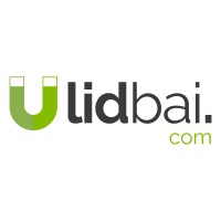 Lidbai.com|Diseño Web y Posicionamiento SEO| logo - Similar company to Estudio G404