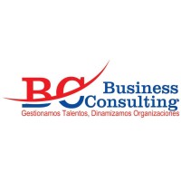 Consultora Business Consulting SRL