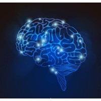 Techbrain Spa