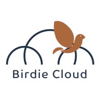 Birdie Cloud logo - Similar company to Gravito Ltd