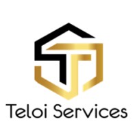 Teloi Services logo - Similar company to Teloi Consultancy