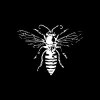 Black Bee Productions logo - Similar company to Blackframe