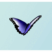 Synaptec Network, Inc. logo - Similar company to The Regenesis Project
