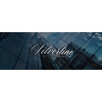 Silverline Development, LLC logo - Similar company to Silverman Group