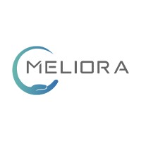 Meliora Health Tech logo - Similar company to Holding Ground