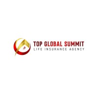 Top Global Summit Life Insurance Agency logo - Similar company to Dgscale