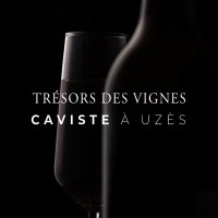 Trésors des Vignes logo - Similar company to Cdp Fine Wines